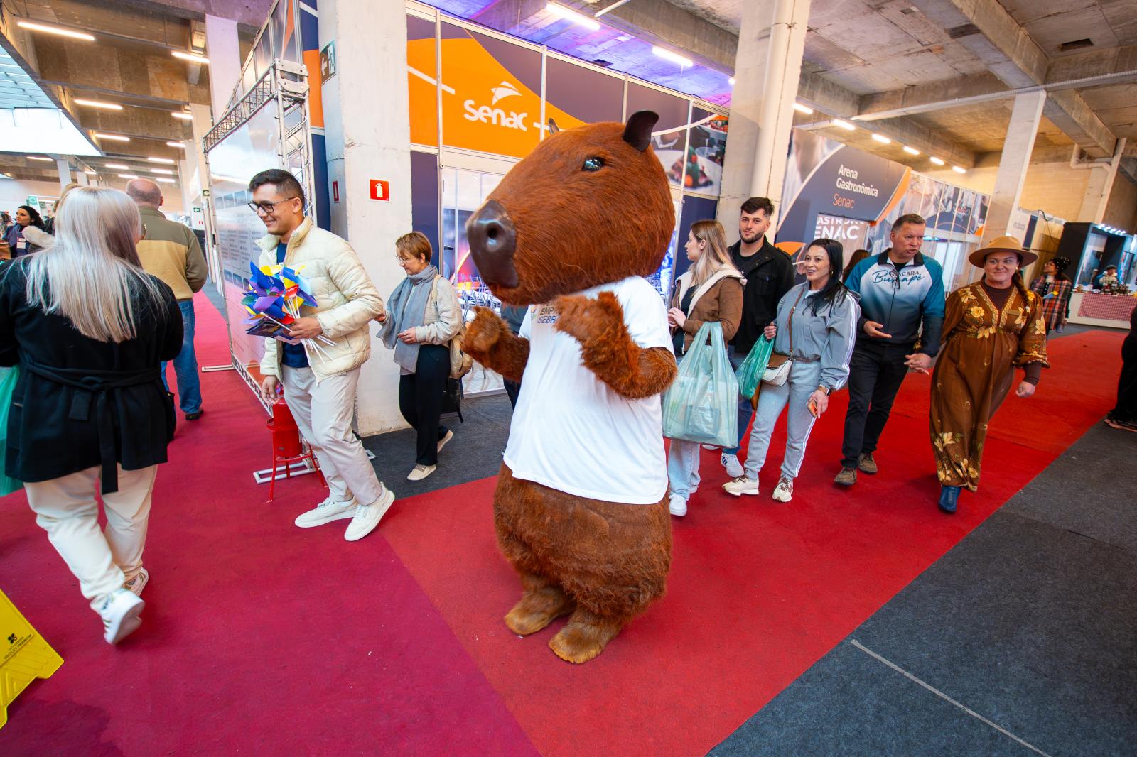 Feira da Louça 13/09/26