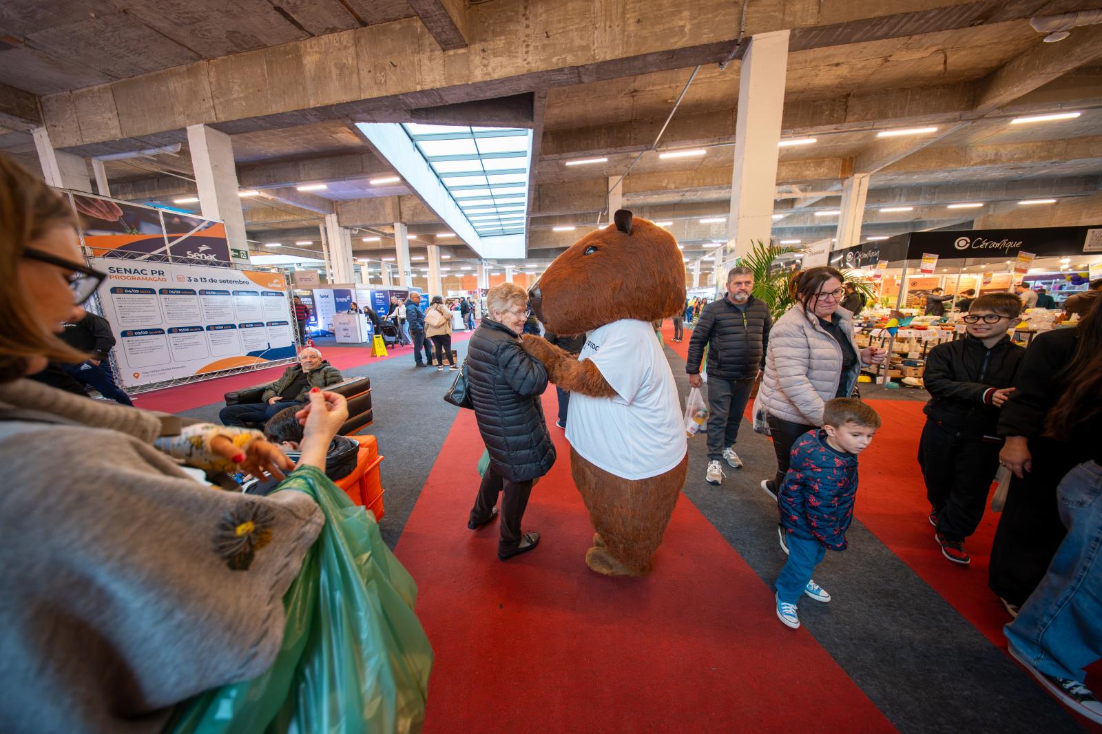 Feira da Louça 13/09/26
