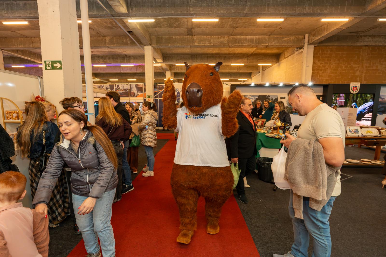 Feira da Louça 13/09/26