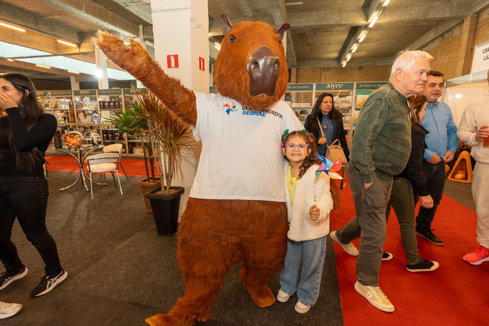 Feira da Louça 13/09/26