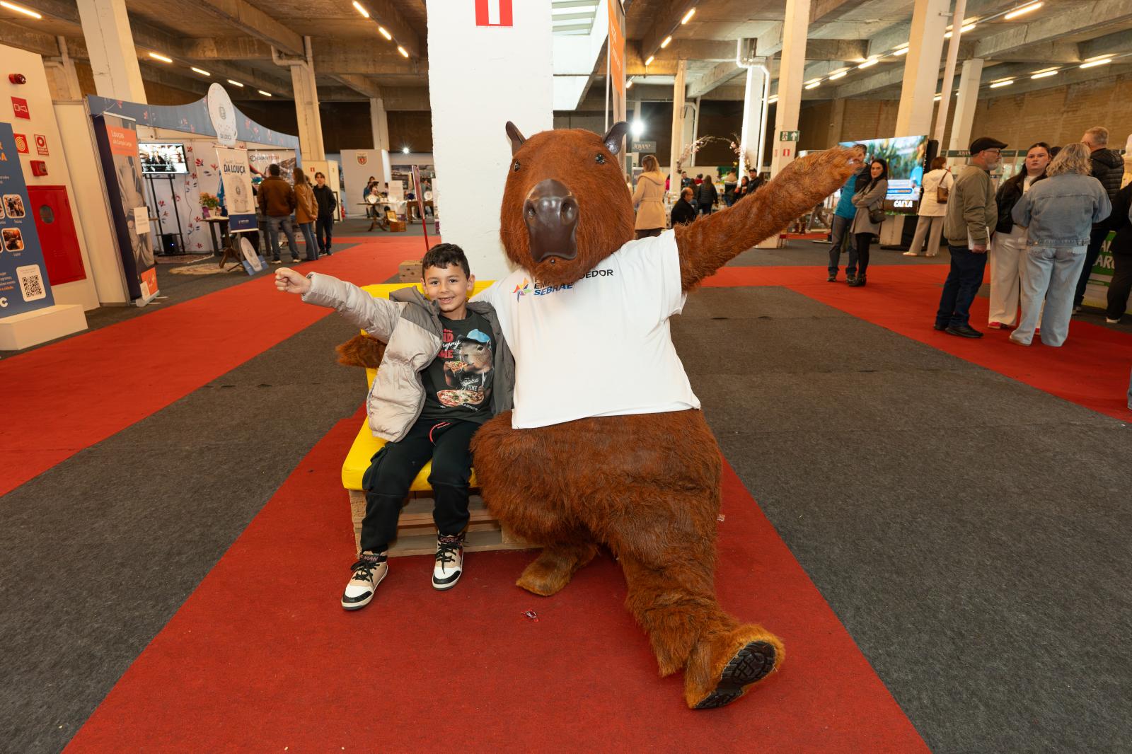 Feira da Louça 13/09/26